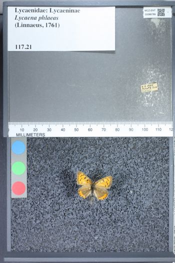 Media type: image;   Entomology 66789